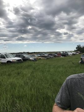 Expansive Scrap Metal Yard with Rows of Old Vehicles